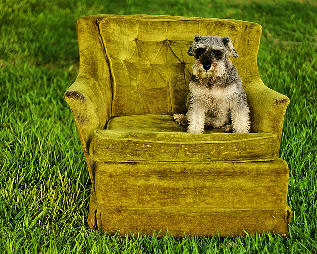 Summer Chair