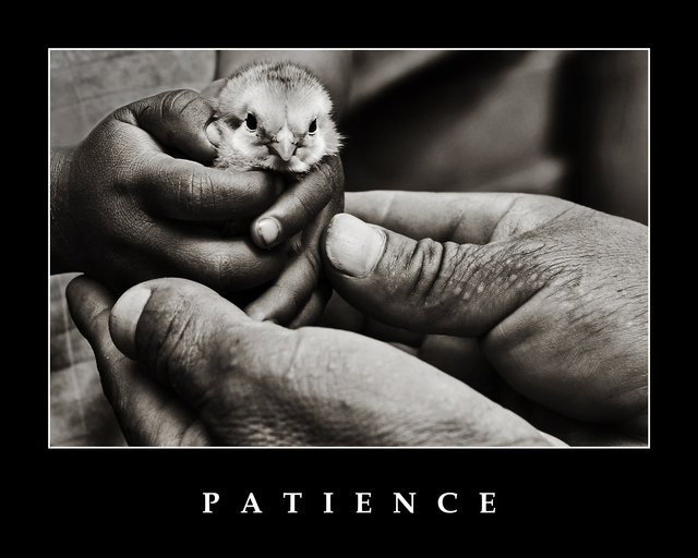 P A T I E N C E