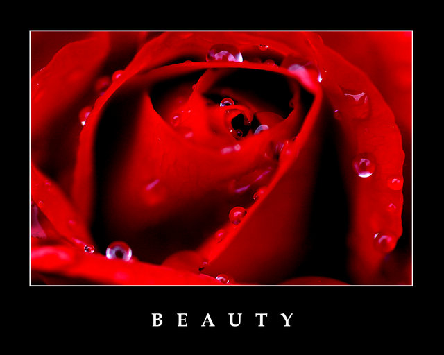 B E A U T Y