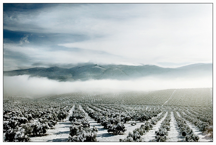 Andalucia I