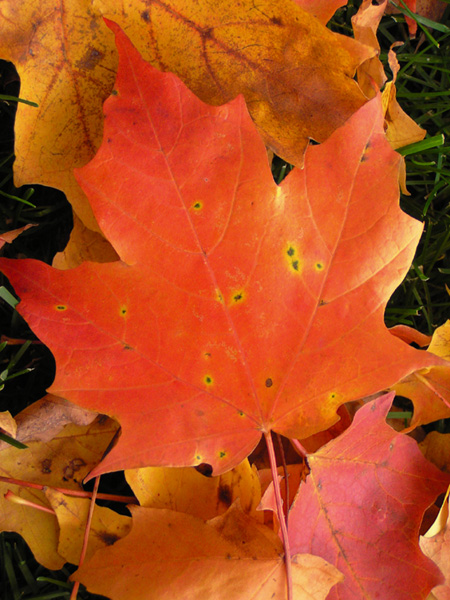 oct 23 2004 009 copy.jpg