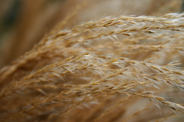 Jan 03 2005 006 copy.jpg