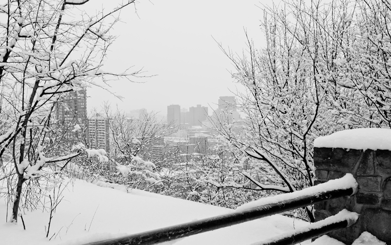 Snow Softly Over City