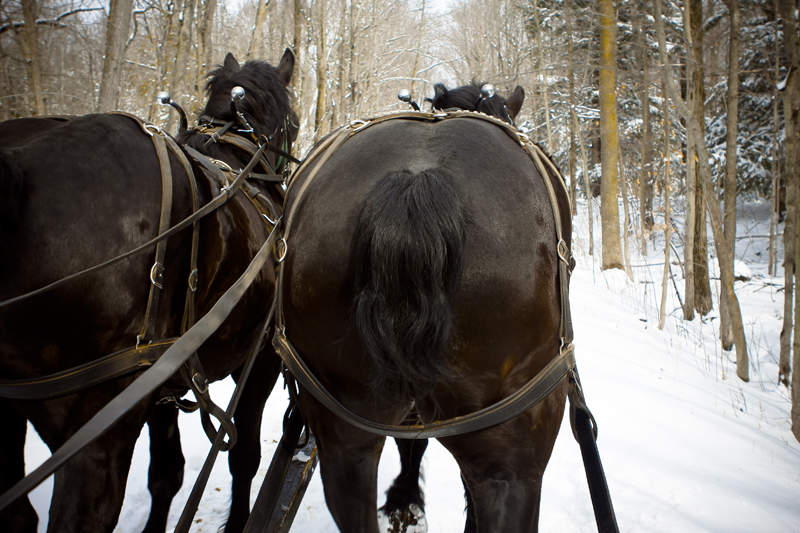 Sleigh Ride