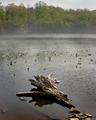 Lake Tohee