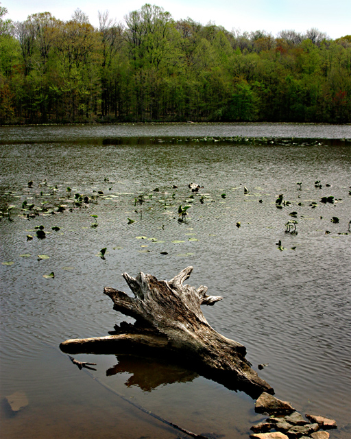 Lake Tohee Without.jpg
