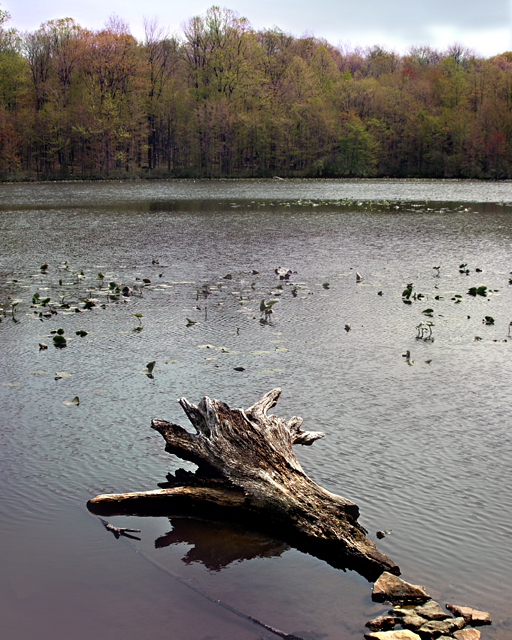Lake Tohee
