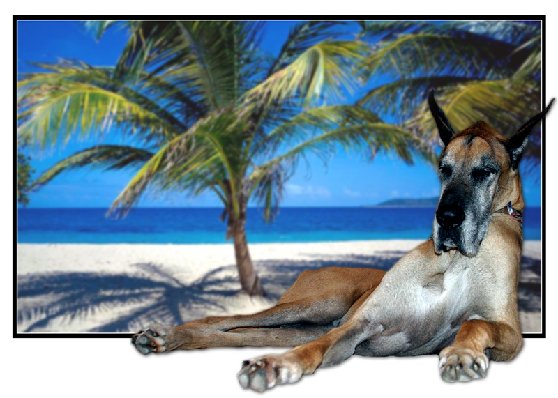 OTIS - Beach.jpg