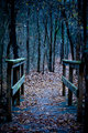 Creepy Bridge