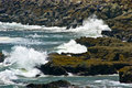 The Shore Line