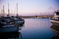 The Harbor