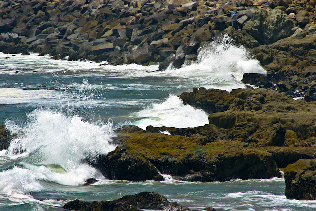 The Shore Line