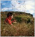 in the grass