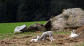 IMG_8704-01-copy.jpg