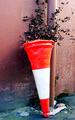 Cut Flowers in Vase. Urban Edition