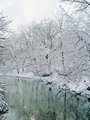 pennypack_bend.jpg