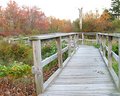 Fishing pier at Tobyhanna Creek