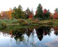 Fall colors at Tobyhanna Creek