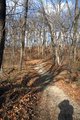 The Path