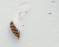 untitled-1