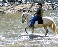Rider