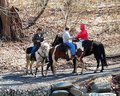 Riders the meeting
