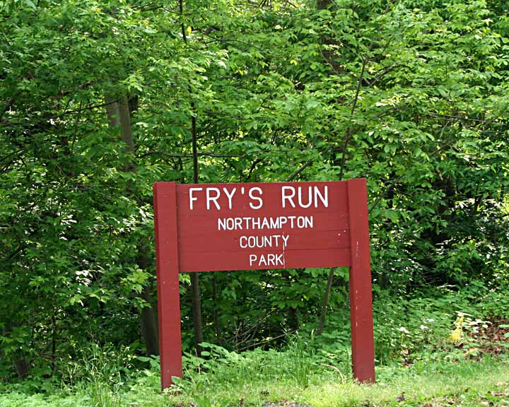 frys_run.jpg