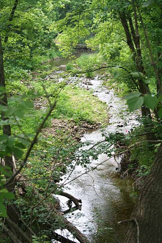 creek.jpg