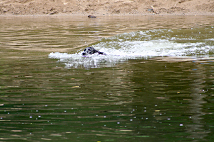 Cooling off