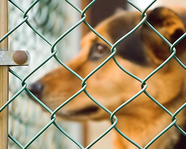 fenced_filtered1