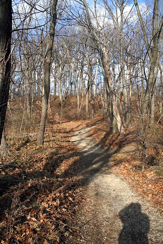 The Path