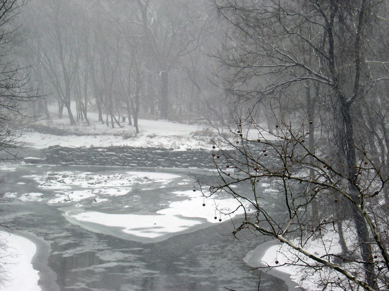 Winter