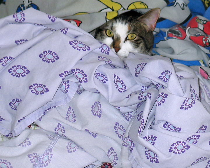 Hide and seek