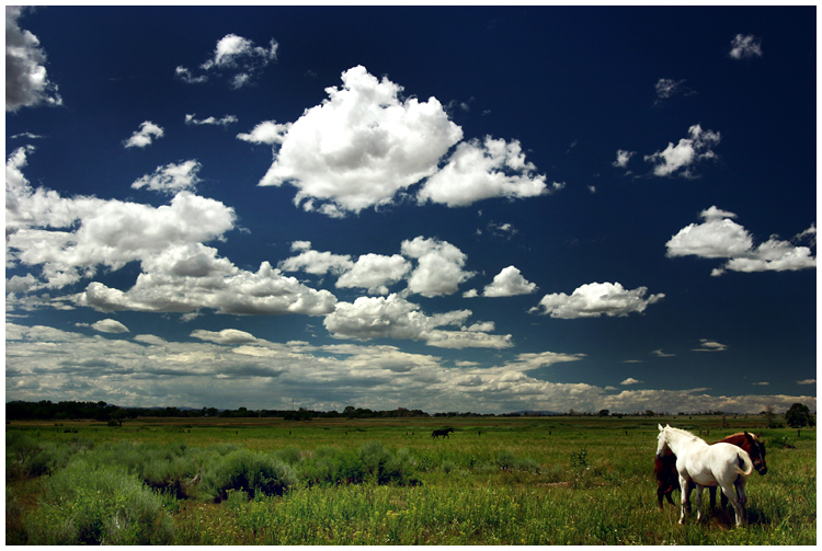 Open Country
