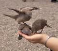 Three’s a crowd