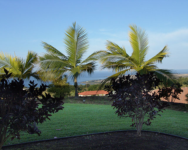 Office view.jpg