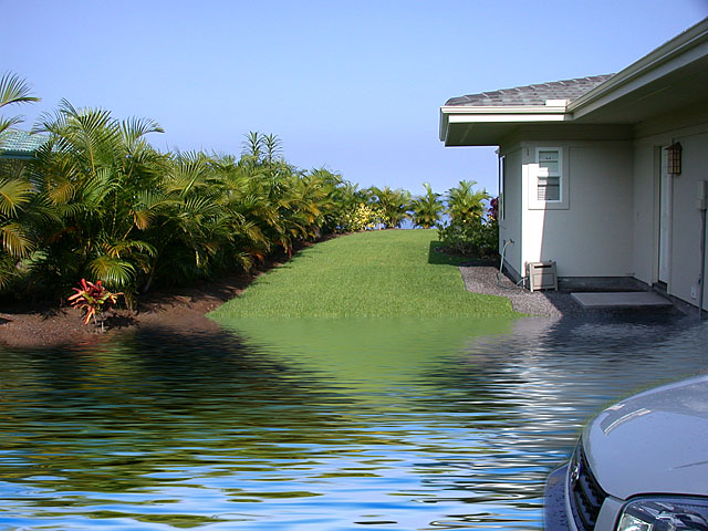 DSCN1605.jpg