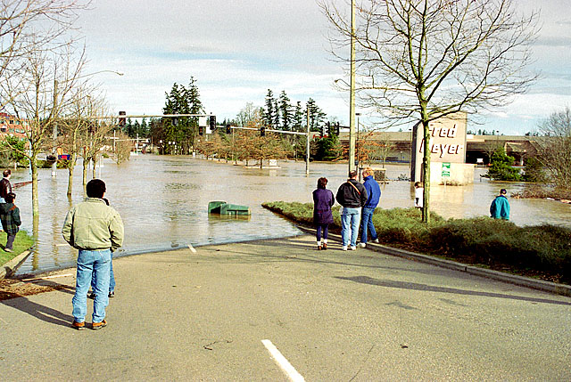flood.jpg