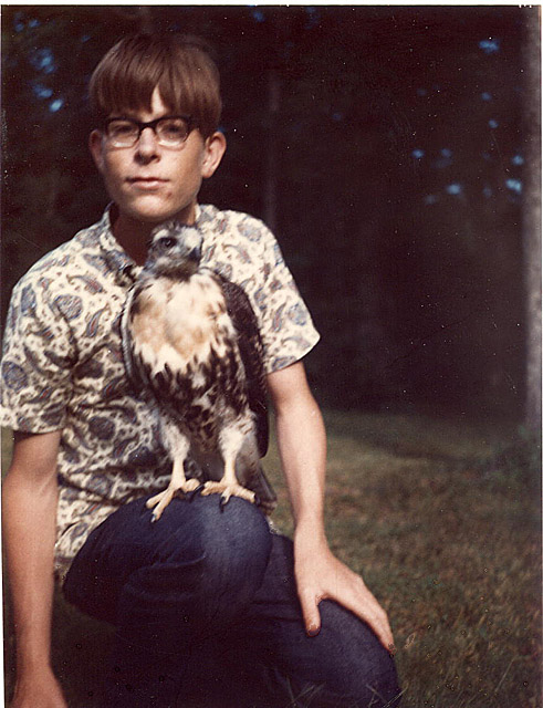 My hawk.jpg