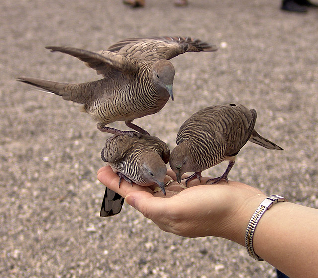 Three’s a crowd
