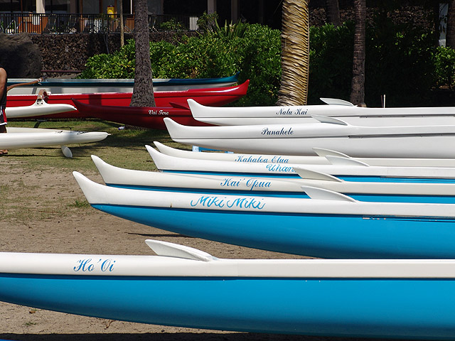 racing canoes.jpg