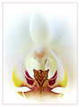 IMG_0816-DPC