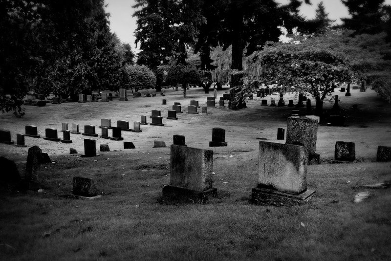 DSC_1526-1