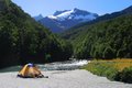 Into the Wild