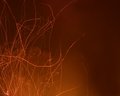 Fire Trails