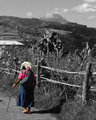Barefoot Towards Tajumulco