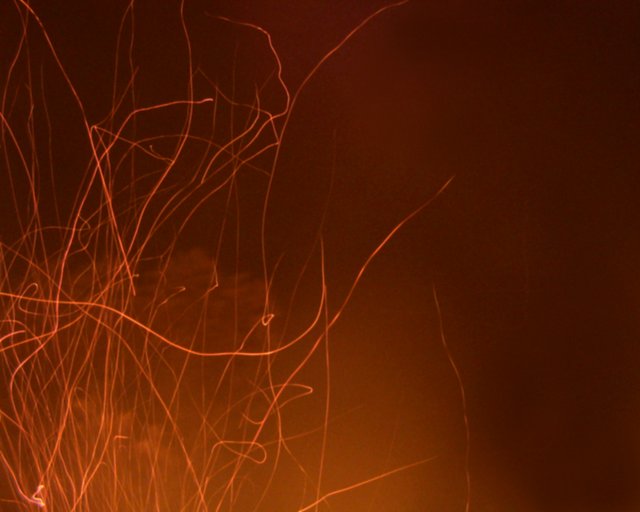Fire Trails