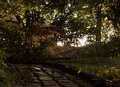 light plays