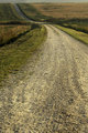 way of curves