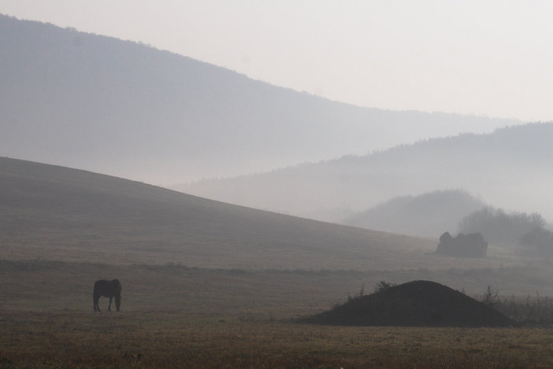 foggy breakfast